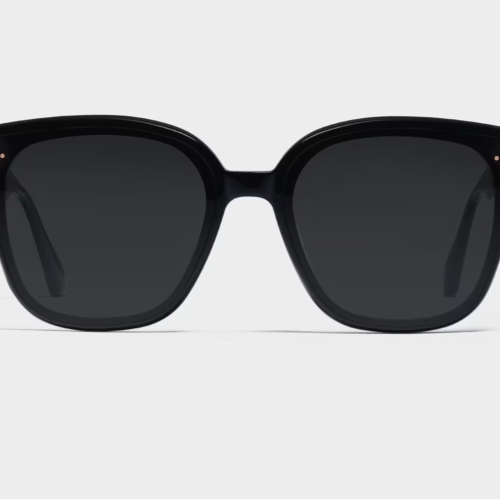 Black Gentle Monster Sunglasses